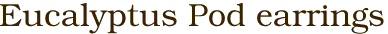Eucalyptus Pod earrings