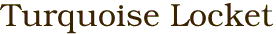 Turquoise Locket
