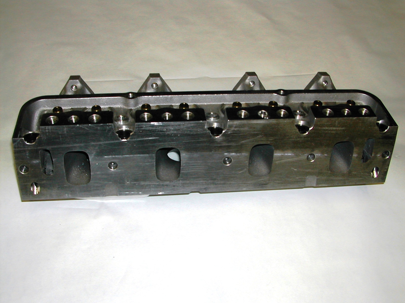 Survival Blue Thunder