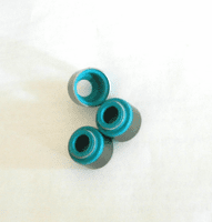 Valve Seals