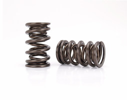 Valve Springs