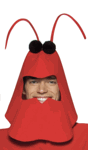Big Lobster Costume<br> Open Faced<br> CAN850