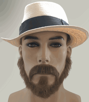 Fake Beard Set<br> Thin Beard Set <br> Human Hair / Glue On<br> Asst Colors <br>BMG228