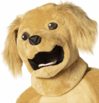 Brown Dog Costume<br> Golden Retriever<br> CAN225