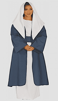 Biblical Period Costume <br>Biblical Towns Woman<br> CBC156