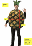 Fruit Costume<br> Pineapple Costume<br> Photo Realistic<br> CFD72