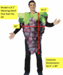 Grape Costume<br> Photo Realistic<br> Green or Purple<br> CFD01