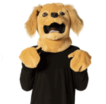 Dog Mask & Paw Kit<br> Brown Dog<br> Golden Retriever<br>  KIT801