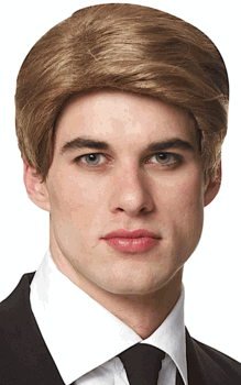 Men's Costume Wig<br> Mr Dreamy Wig<br> MWG591