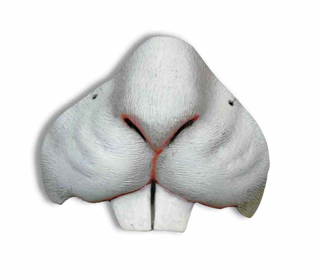 Animal Noses - White Rabbit Nose - Elastic Band - MASKS Masquerade ...