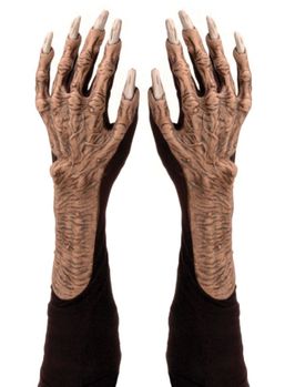 Monster Gloves <br>Zombie Arms <br>Corpse Arms<br> NGL654