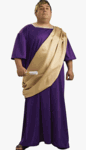 Roman Caeesar Costume<br> Plus Sized<br> GRM25