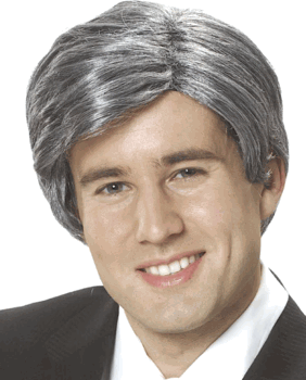 Silver Fox Wig<br> MWG627