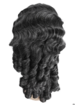 Southern Belle Wig<br> Banana Curl Ringlet<br> Asst Colors<br> WWG223