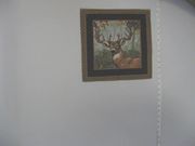 "Buck In The Woods Looking Straight Ahead",12" x 12",Black Border