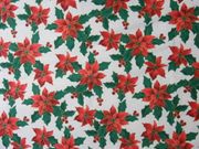 Poinsettas against Cream,X58