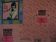 Wall Hanging,N13,"High School Musical-I Love Troy"