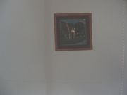 "Wild Horses Grazing",WH1A,12" x 12 1/2"