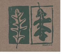 Oak Leaves - Mocha