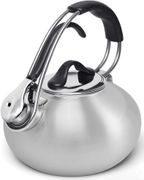 Brushed Stainless Chantal Loop Teakettle, 1.8-qt.