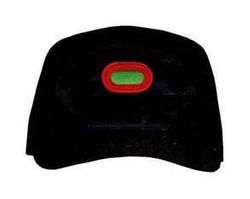 10th Special Forces Group Flash Logo Ball Cap