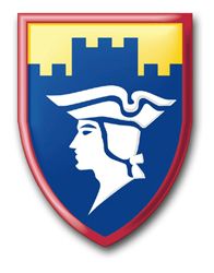 7th Army Reserve Command 11.75" Patch Vinyl Transfer Decal