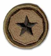 9th Support Command Subdued Military Patch
