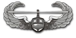 Air Assault Vinyl Transfer Decal