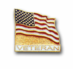 American Flag / Veteran Lapel Pin
