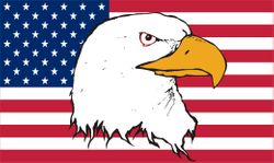 American Flag with Eagle Decal Sticker