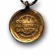 Anartica Service Mini Military Medal