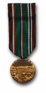 Antarticia Service Mini Military Medal