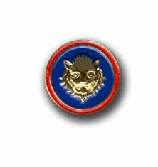 Army 106th Infantry Division Military Pin