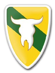 Army 163rd Armored Brigade Montana 5.5" Patch Vinyl Transfer Decal