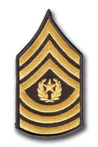 Army 1st Sergeant Rank Chevron (Pair) Military Patch