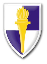 Army 356th Civil Affairs Brigade 11.75" Patch Decal