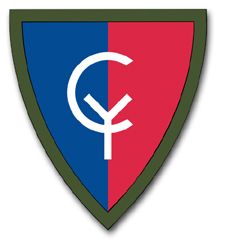 Army 38th Infantry 11.75" Patch Vinyl Transfer Decal