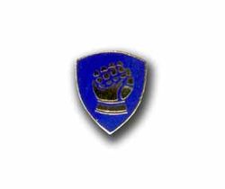 Army 46th Infantry Division Military Pin