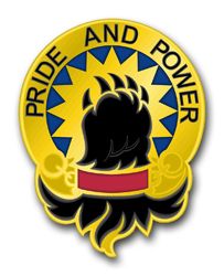 Army 49th Military Police Brigade California Unit Crest 10" Vinyl Transfer Decal