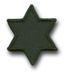 Army 6th Infantry Division Subdued Military Patch