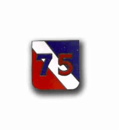 Army 75th Infantry Division Military Pin