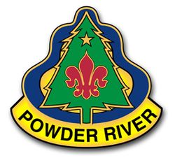 Army 91st Training Unit Crest 5.5" Vinyl Transfer Decal