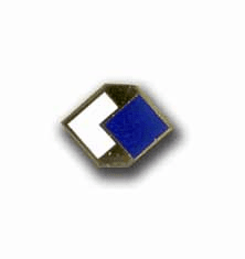 Army 96th Infantry Division Military Pin