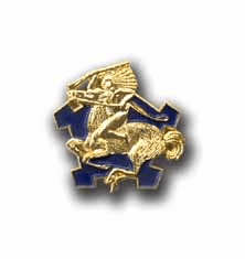 Army 9th Cavalry Military Pin