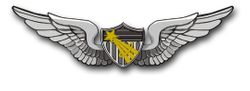 Army Astronaut Wings 8" Vinyl Transfer Decal