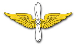 Army Aviation Insignia 10" Vinyl Transfer Decal