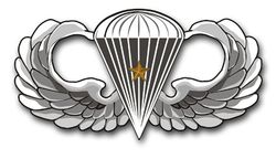Army Basic 1 Combat Jump Wings 11.75"  Vinyl Transfer Decal