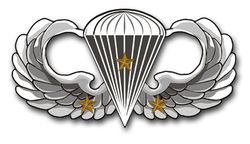 Army Basic 3 Combat Jump Wings 8" Vinyl Transfer Decal