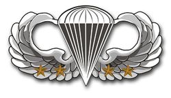 Army Basic 4 Combat Jump Wings 11.75" Vinyl Transfer Decal