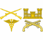 Army Branch Insignia Decals